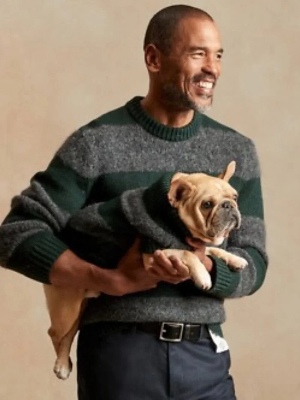 NWT Banana Republic Green/Gray Striped Wool and Alpaca Dog Sweater - Size M